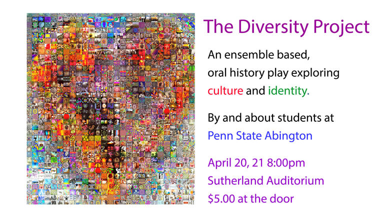 the diversity project