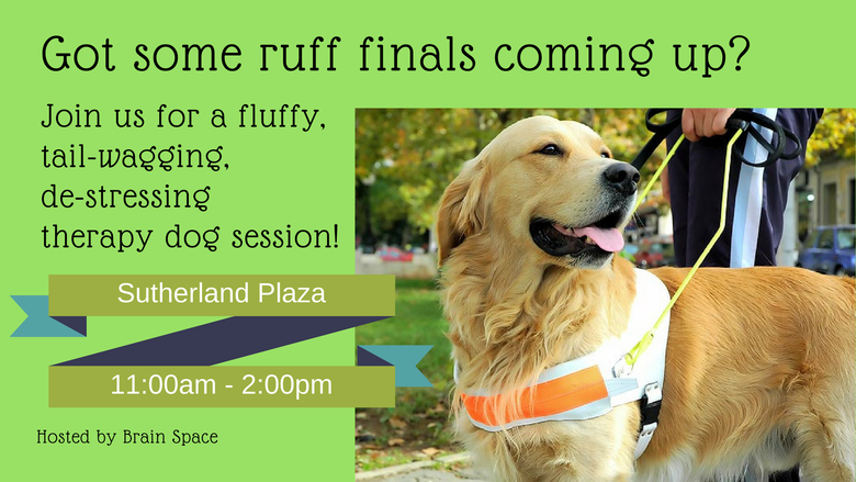 Therapy dog event