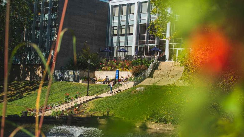 Woodland building and pond
