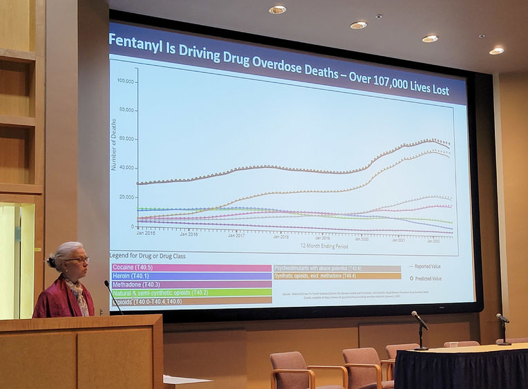 Yngvild Olsen, a woman a pink jacket and patterned blouse with white hair, presents at the CSUA annual conference.