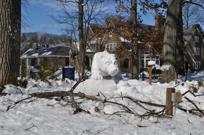 Abington lion storm