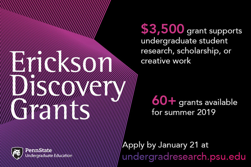 Erickson Discovery Grant info graphic