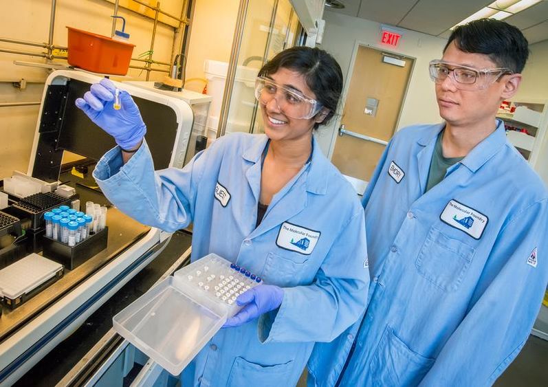 Gurunathan in the lab at Lawrence Berkeley National Lab in Berkeley, California, as part of her summer research internship. Gurunathan works in the lab at Lawrence Berkeley National Lab in Berkeley, California, as part of her summer research internship.
