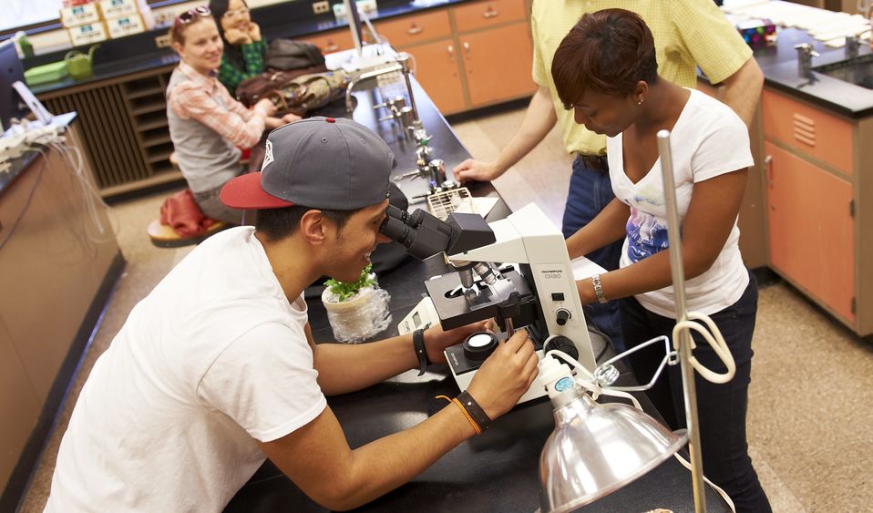 Abington biology chancellor's grants