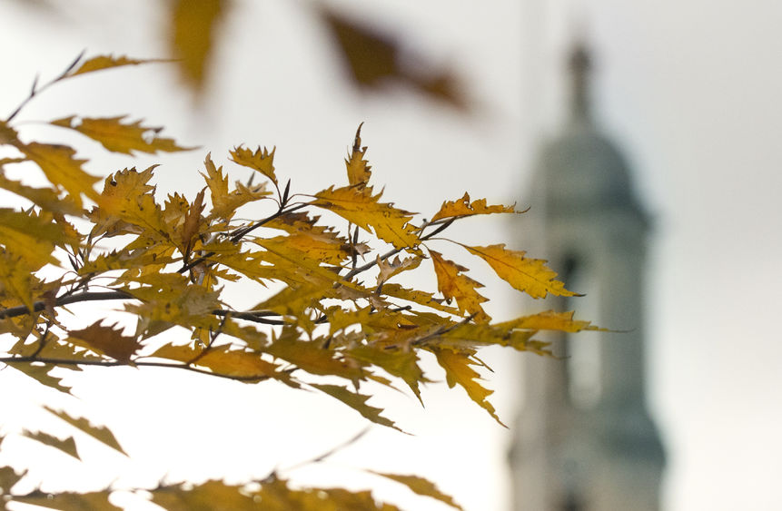 Late autumn- Old Main-pm009 late autumn leaves old main