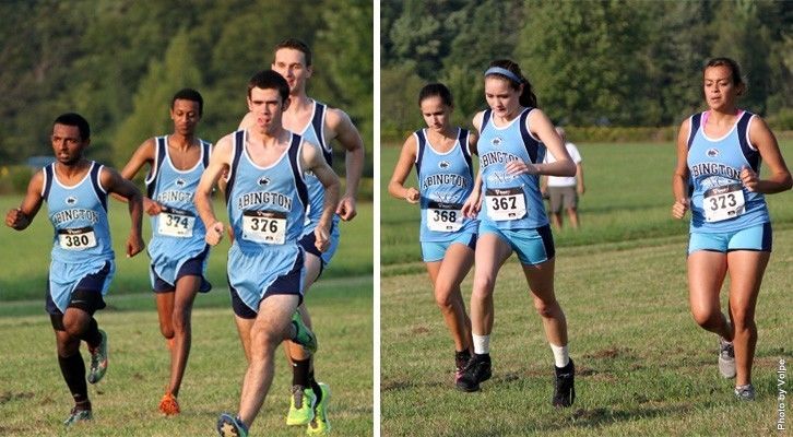 Abington men's cross country