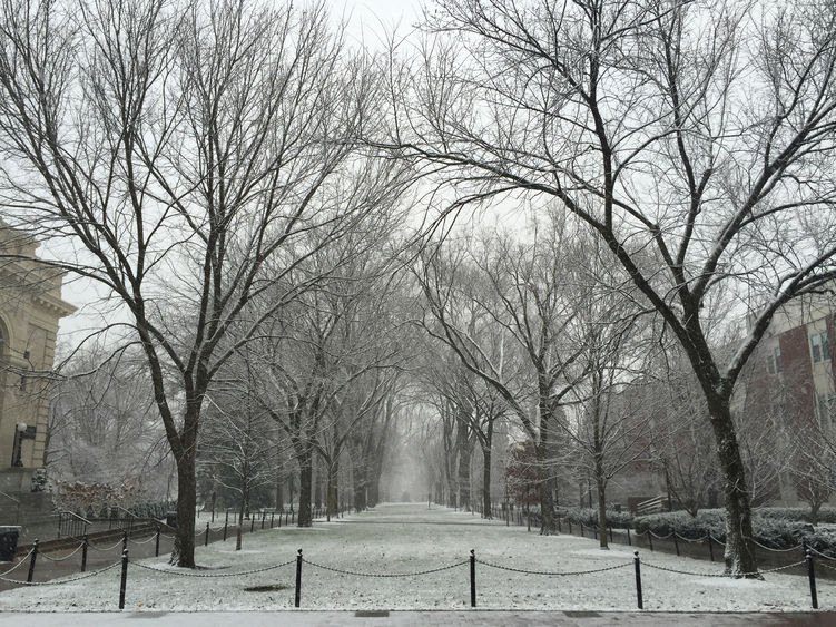 Snow - Old Main mall